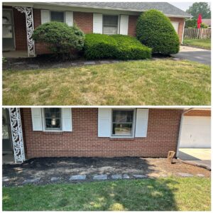 81A78CC9-2CF1-485D-8BE8-78AAE488F93A Bush removal from front of house.