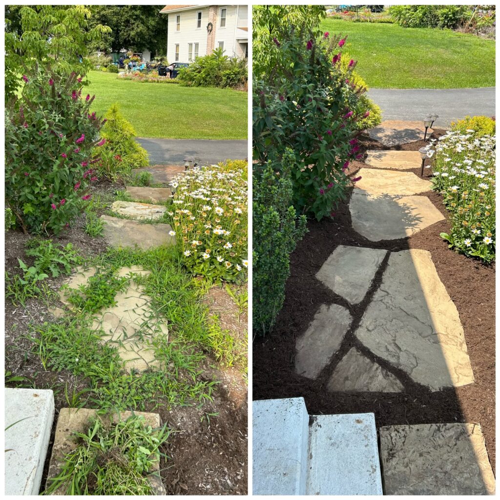 9142828C-6F36-466A-9DFF-ED7A466E877B Before and after of a cleaned up walking stone path.
