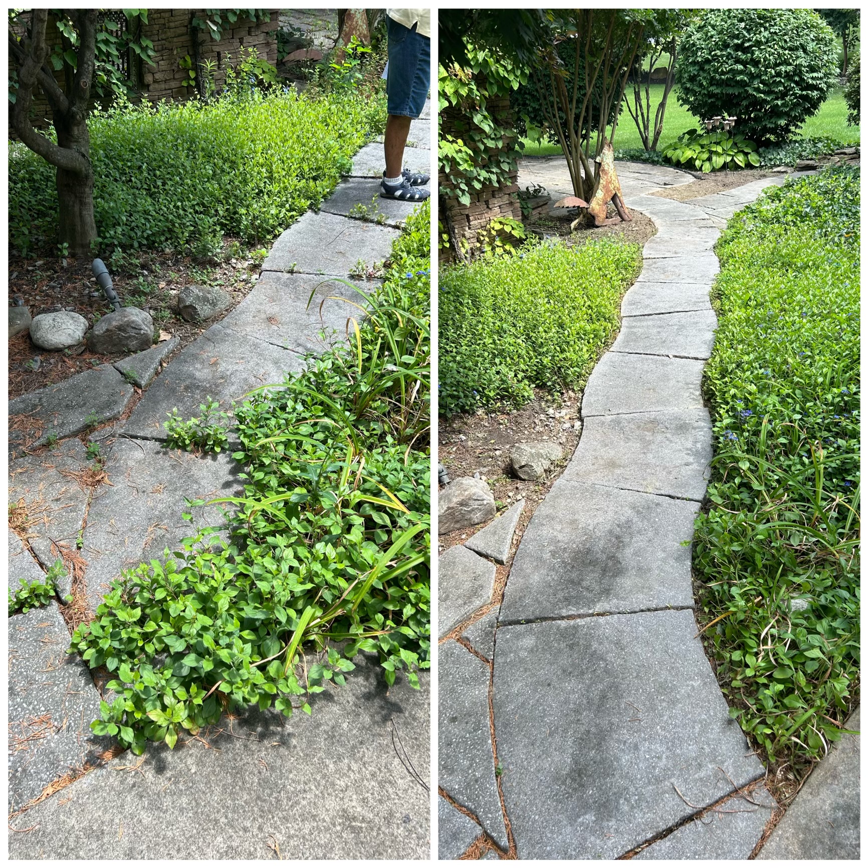 C24C78B0-C02B-42E8-966F-AAEA4BDB2F91 A before and after of a path.