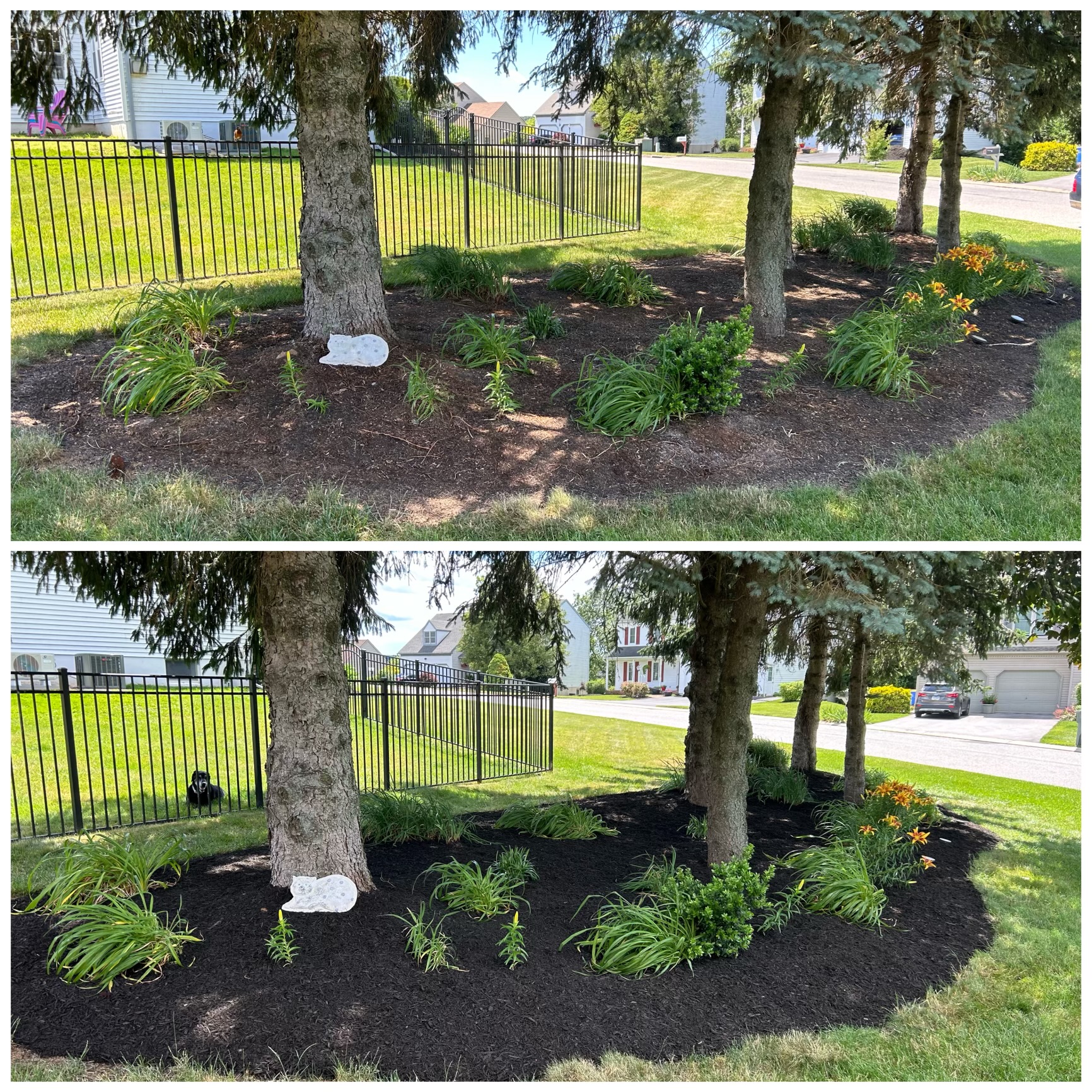 F6B33E47-4776-48FB-B709-B3F88DB8000A Mulching project around several trees.